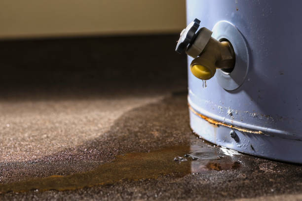 Best Commercial water damage restoration  in Reinbeck, IA
