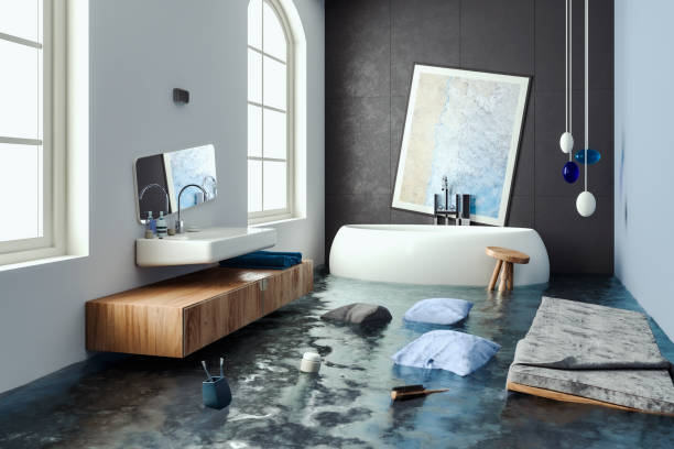 Best Professional water damage repair  in Reinbeck, IA