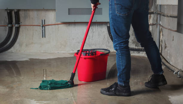 Best 24/7 water damage repair  in Reinbeck, IA