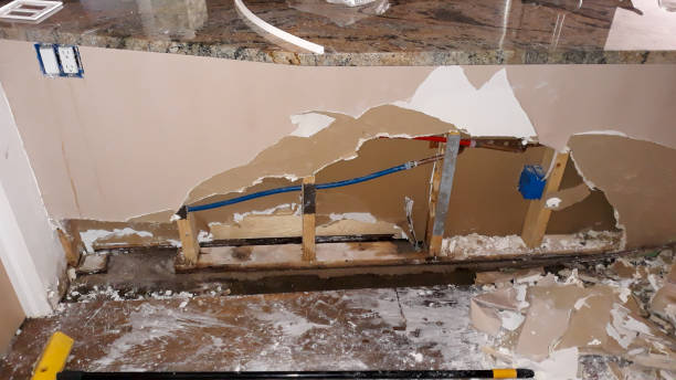 Best Flood damage cleanup  in Reinbeck, IA
