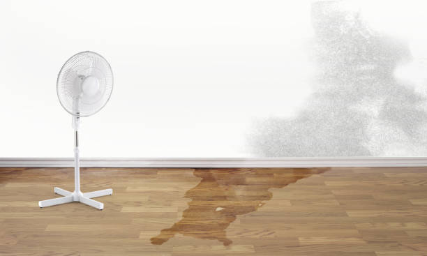 Best Commercial water damage restoration  in Reinbeck, IA
