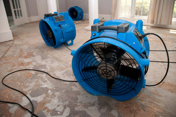 Best Water damage restoration near me  in Reinbeck, IA