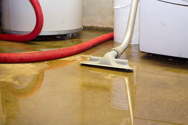 Best Flood restoration services  in Reinbeck, IA