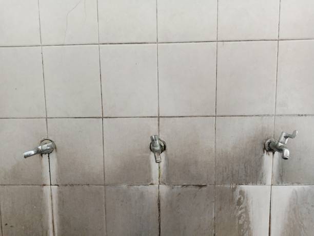 Best Flood damage cleanup  in Reinbeck, IA