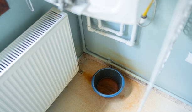 Best Water damage restoration company  in Reinbeck, IA