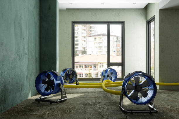 Best Basement water damage restoration  in Reinbeck, IA